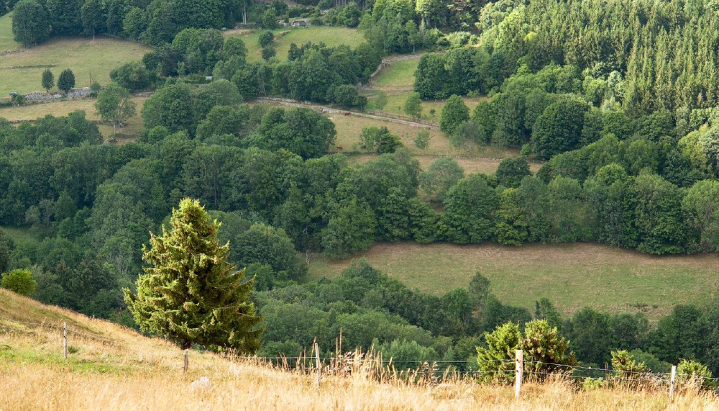 Installation de clôture dans les Vosges : demandez conseil à un paysagiste !