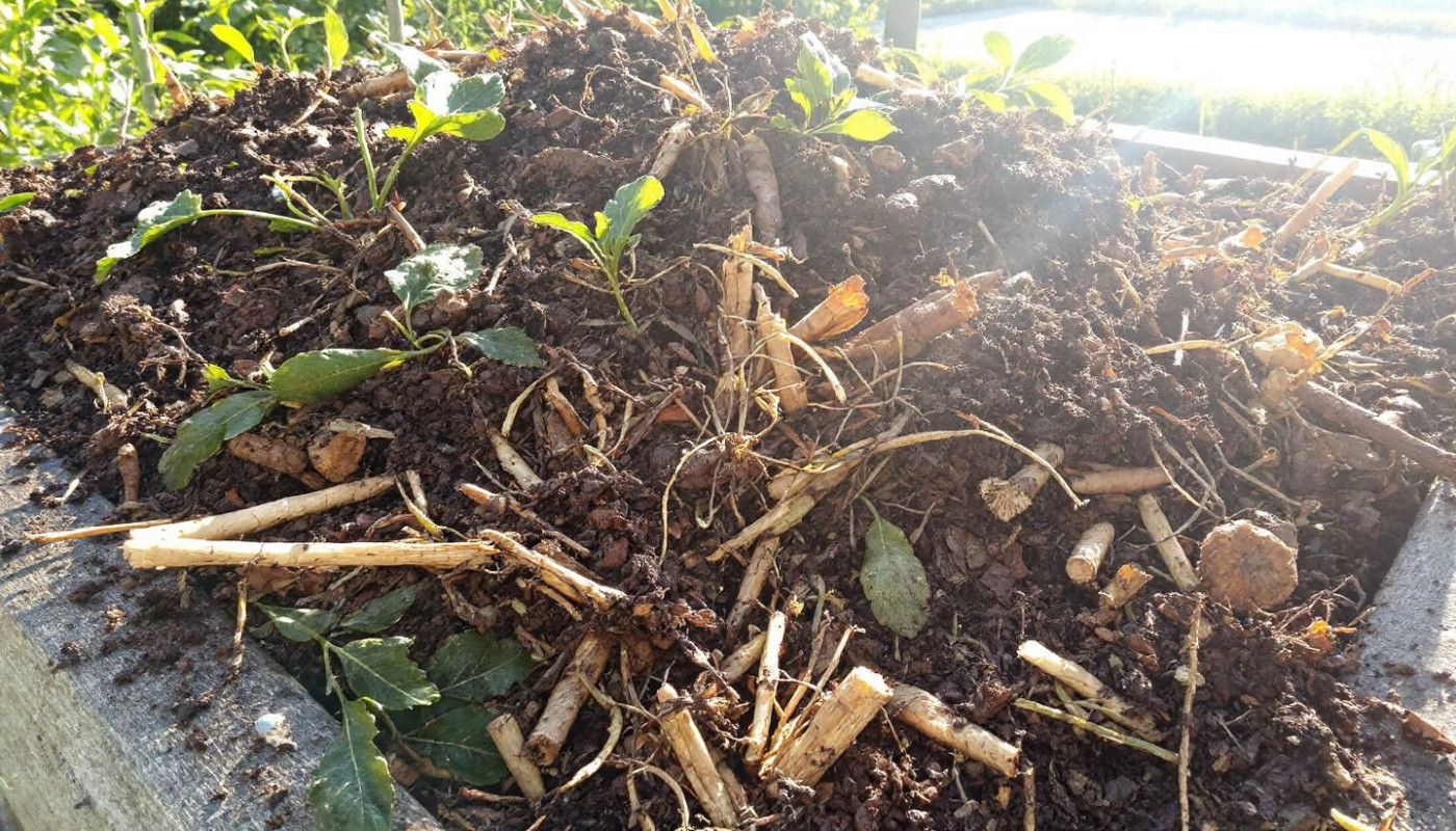 Comment créer un compost efficace pour votre jardin ?